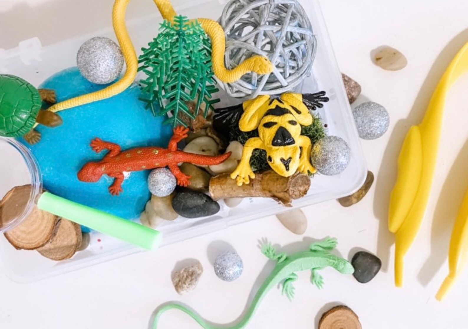 Reptile Play Dough Mini Kit Frogs and turtles sensory kit Etsy