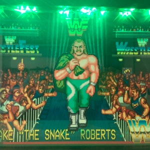 Jake &quot;The Snake&quot; Roberts - LED Wrestlefest Shadow Box (8x10)