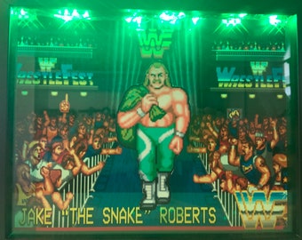 ジェイク・ザ・スネーク・ロバーツ　WWEクラシックスーパースター WWE Wrestling Classic Superstars Series 3 Jake The Snake