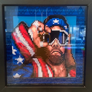 Macho Man Randy Savage - Shadow Box