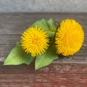 Handmade Dandelion Hair Clip: Realistic Yellow Flower Barrette