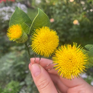 Dandelion hair pins Yellow dandelion flower hair pins Artificial dandelion hair piece