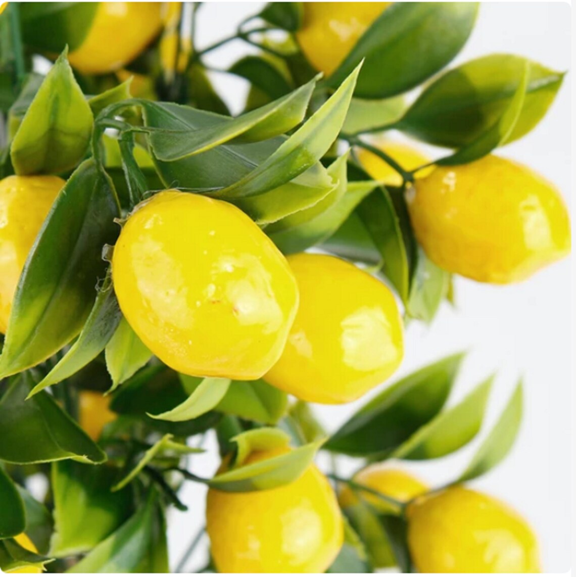 Artificial Lemon Tree Etsy