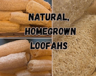 Natural Loofah Luffa | Eco-friendly Bath | Fully Compostable Cleaning Supply