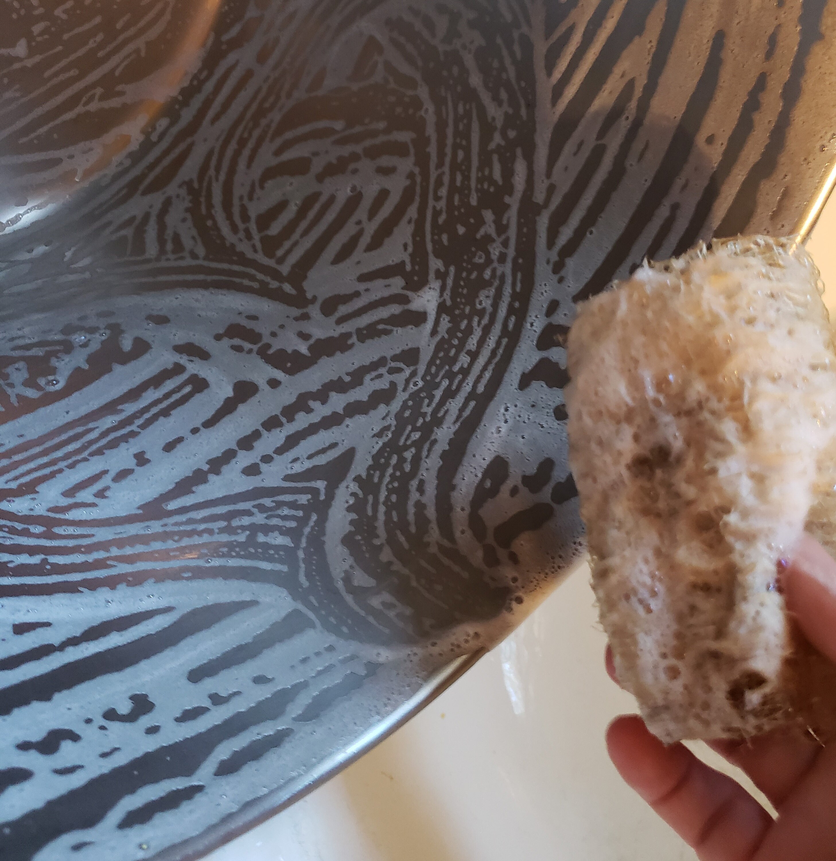 Dishcloth Luffa Loofah Sponge Gourd Seeds Natural Organic Biodegradable Bath or Kitchen Sponge