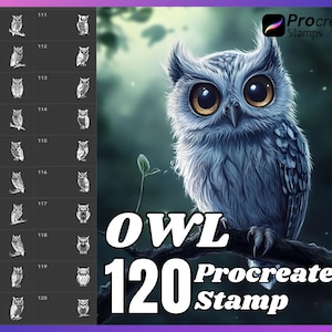 120 Procreate Owl Stamps, Owl brush for procreate, Owl procreate stamps, Owl stamp for procreate.