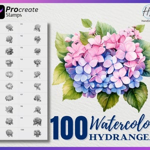 100 Procreate Watercolor Hydrangea Stamps, Flower Stamps for procreate, Watercolor Flower procreate stamp, Watercolor Procreate Stamps image 1