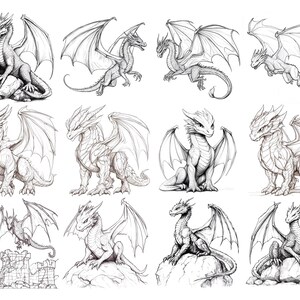 May include: A collection of ten black and white line drawings of dragons in various poses. The dragons are drawn in a realistic style with detailed scales and wings.