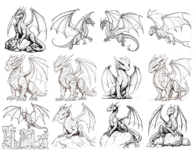 May include: A collection of ten black and white line drawings of dragons in various poses. The dragons are drawn in a realistic style with detailed scales and wings.