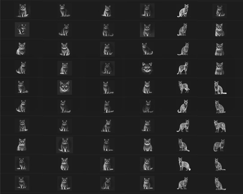 130 Procreate Realistic Cat Stamps, Cat Brushes for Procreate, Instant Digital Download Etsy