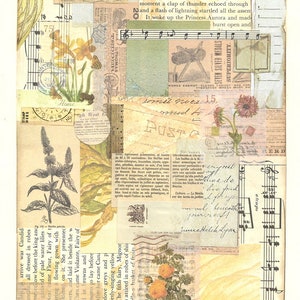 Ephemera for Journaling, Scrapbooking, Cardmaking, Mixed Media, Download PDF, Digital File, Records