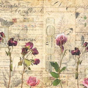 Roses, Rice Paper, Decoupage, Paper Crafts, Mixed Media,  Decoupage Queen, Vintage, Script, Butterflies, Pink