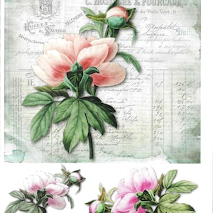 Decoupage Paper, Soft Paper, Paper Crafts, Mixed Media, Peony, Peonies, Flower, Floral, Script, Vintage, Victorian