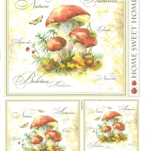 Rice Paper, Decoupage, Paper Crafts, Mixed Media, AIST Craft, Autumn, Toadstool, Mushroom, Vintage