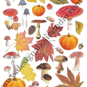 Ephemera for Journaling, Scrapbooking, Cardmaking, Mixed Media, Download PDF, Digital File, Autumn Finds 1 by DS