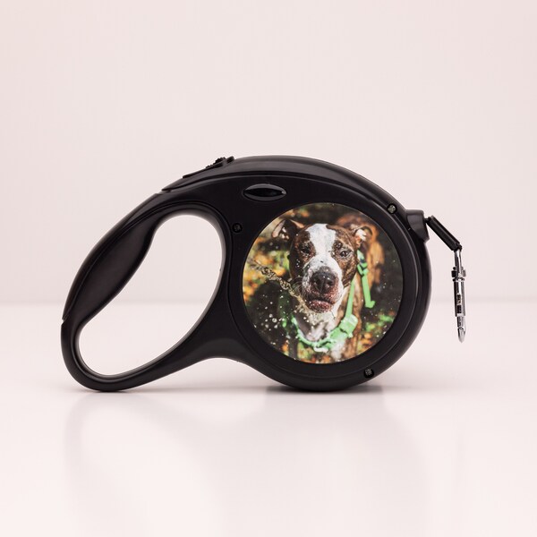 Retractable Dog Leash, personalized dog leash, comes with name and image, small and large available