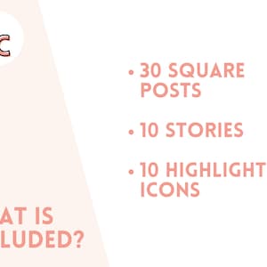 May include: A pink and white graphic with the text "LC" in a circle. The text "WHAT IS INCLUDED?" is in the lower left corner. The text "&bull; 30 SQUARE POSTS", "&bull; 10 STORIES", and "&bull; 10 HIGHLIGHT ICONS" is in the upper right corner.