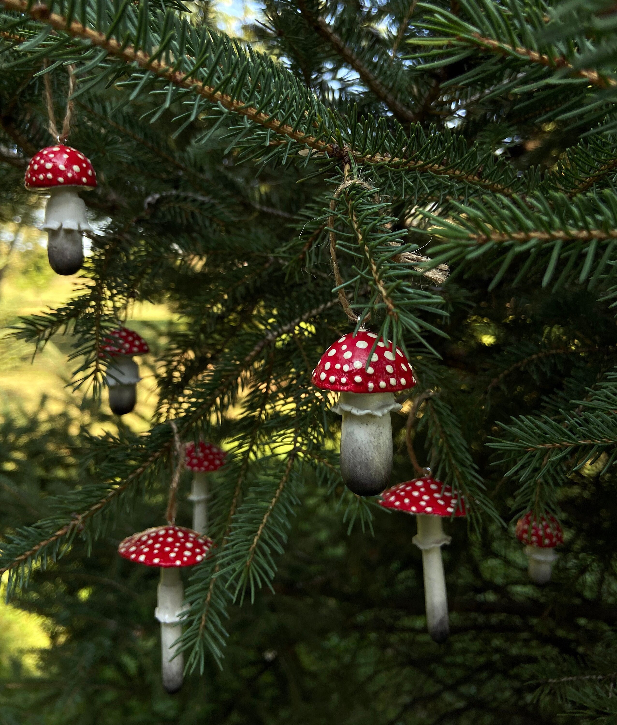 Wood Mushrooms Set Of 6, Pastel, Custom Colors , Charming