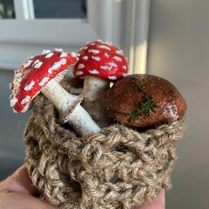 Mushroom Basket Decorative Basket Mushroom Decor Home Decor Crochet Basket Made in Canada Cottagecore Decor Conversation Piece