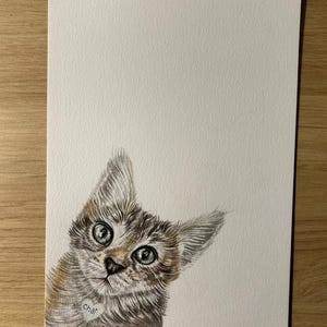 May include: A detailed pencil drawing of a curious kitten with brown and gray fur, and large, expressive eyes. The kitten is wearing a tag that says "char". The artwork is on a white paper.