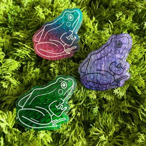 Snake Shed Frog Pin with real snake shed inside from snakes - unique witchy toad pin perfect for Halloween gift or all year long
