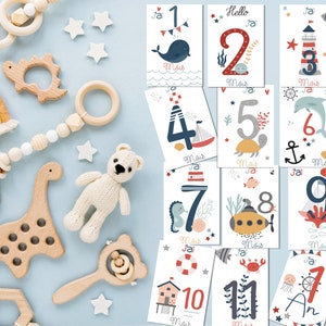 Cartes étapes bébé thème océan, naissance, souvenirs bébé première année image 2