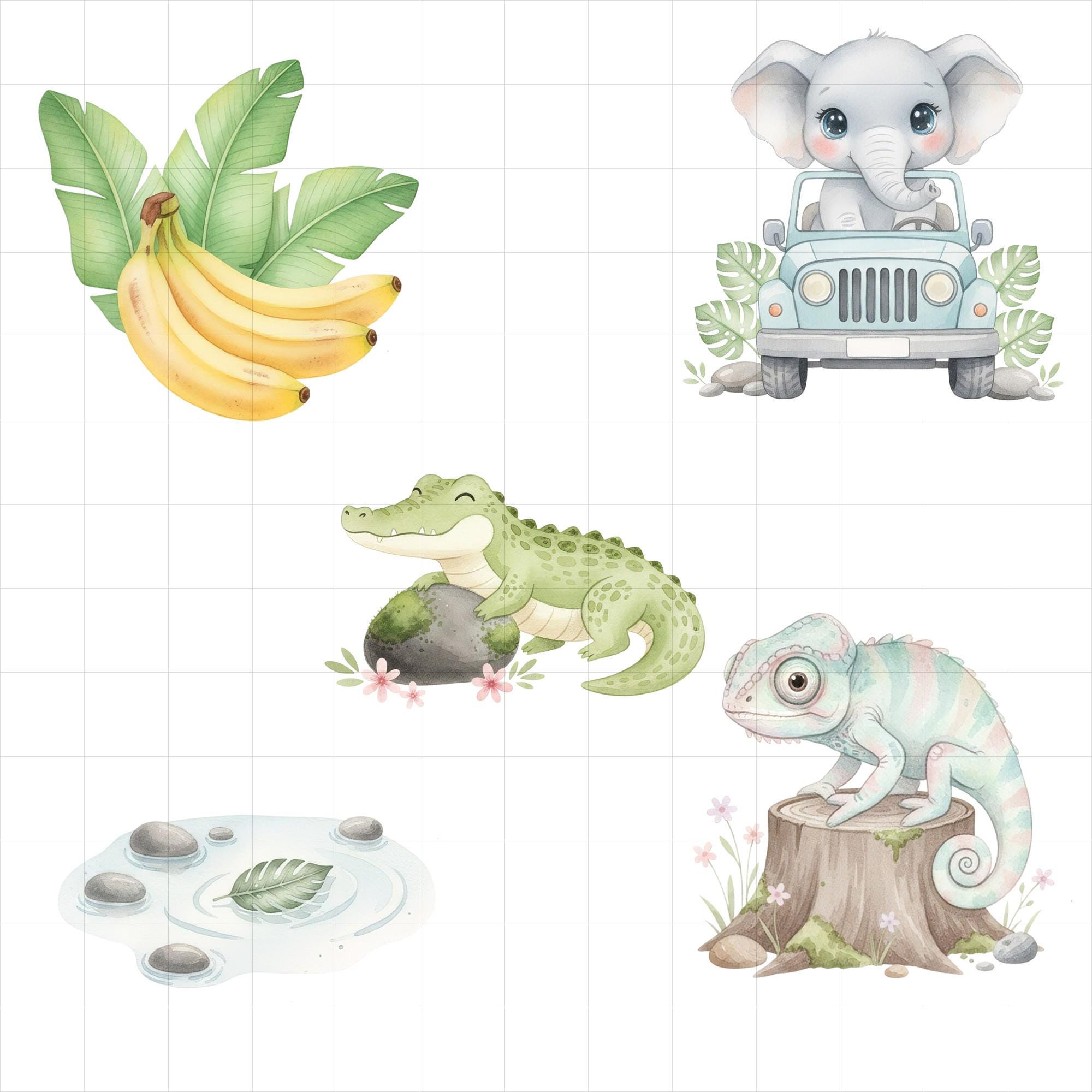 25 Jungle Animals PNG Clipart , Cute Baby Safari Animals ,watercolor ...