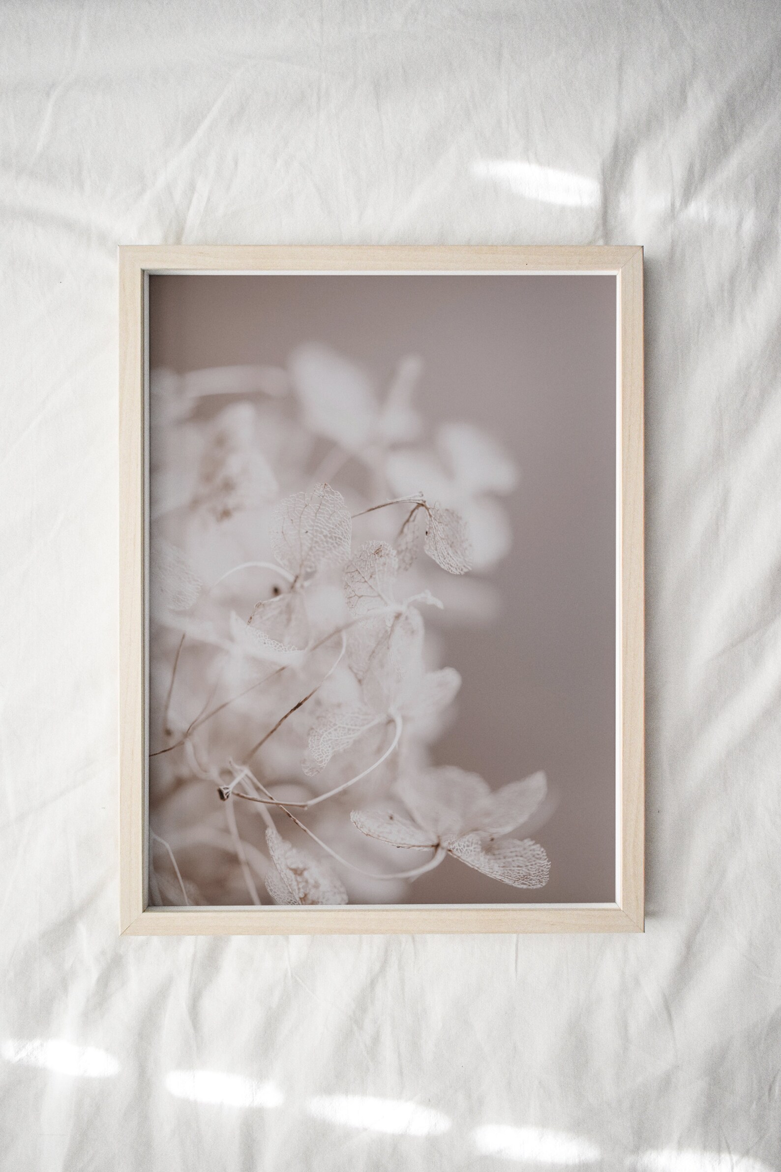 Cherry Blossom Wall Art White Flower Wall Art Botanical Etsy