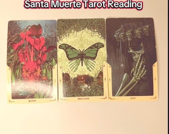 Santa Muerte Tarot Reading | 5-Minute Message | Up to 2 Questions Answered