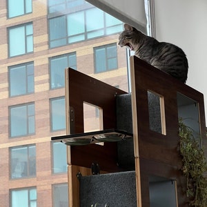 58.5" Tall modular Cat Case™ Bookcase with Hidden Cat Tree / Cat Tower (3 - 19.5" module unit)