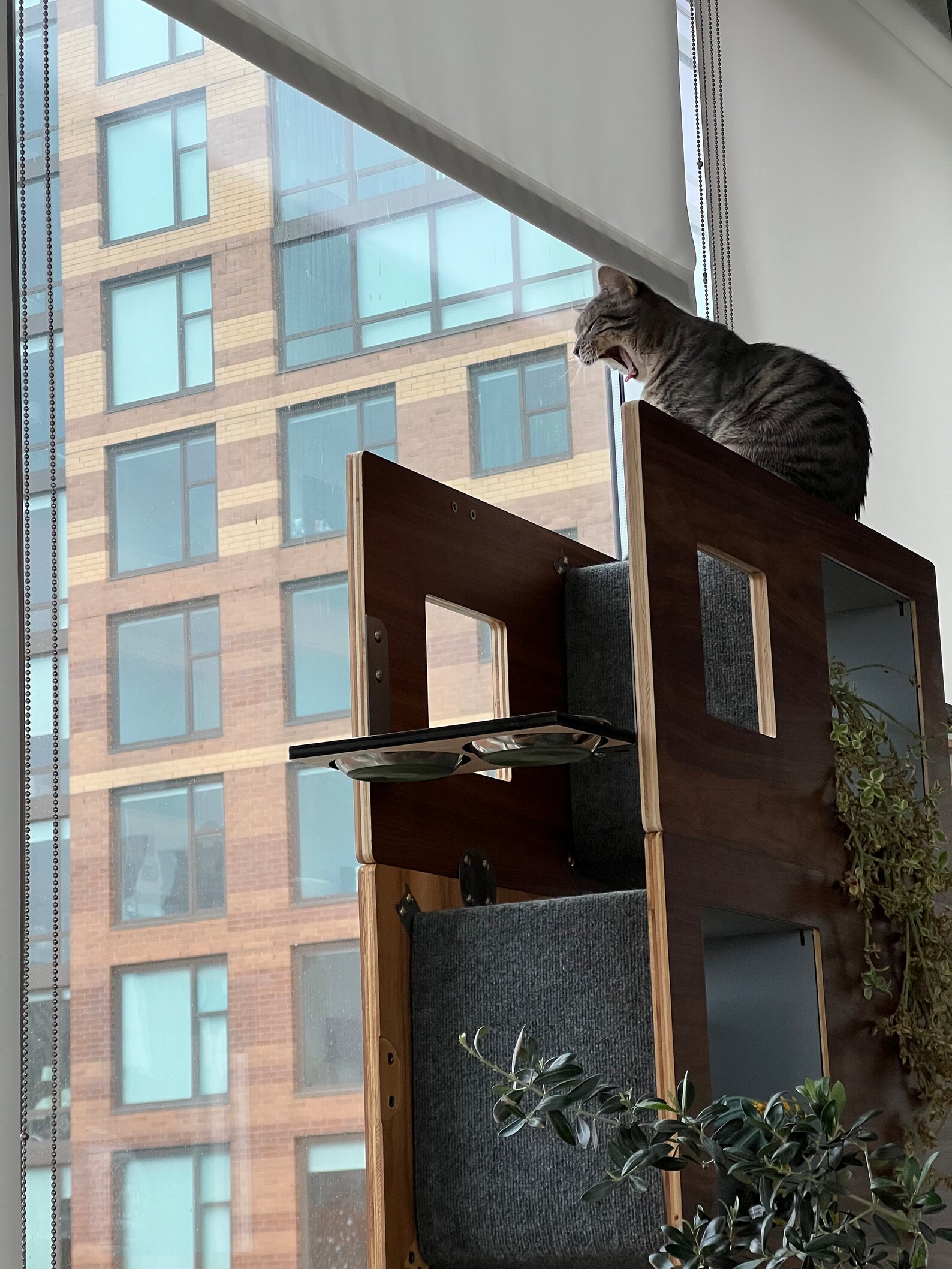 Cat Case Modern Cat Tree and Bookcase Cat Tower Cat Condo Etsy