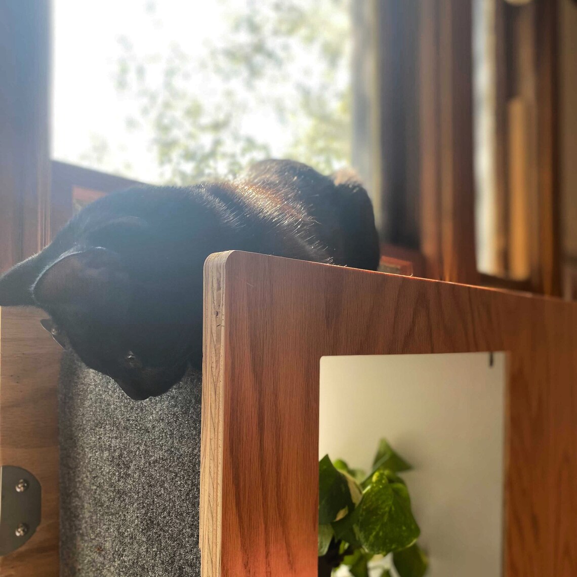 Cat Case Cat Tree and Bookcase Cat House Cat Condo Etsy