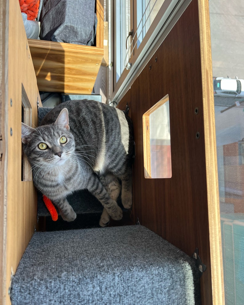 Cat Case Cat Tree and Bookcase Cat House, Cat Condo, Modular Shelving FULL WALL UNIT Etsy