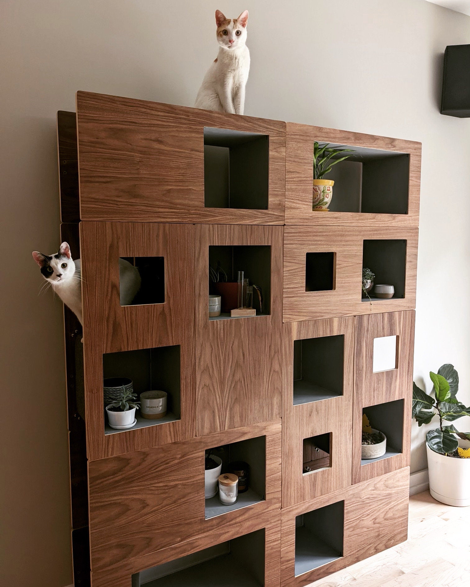 Cat Case Cat Tree and Bookcase Cat house Cat Condo Modular shelving FULL WALL UNIT