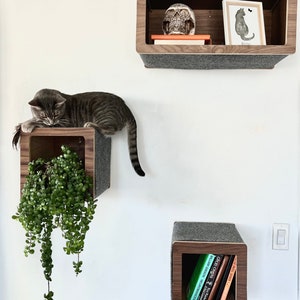 Set of 3 Landing Shelf - Cat Wall terrain  - Floating Box shelf and Cat Landing