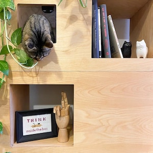 Cat Case - Cat Tree and Bookcase:  Cat house, Cat Condo, Modular shelving