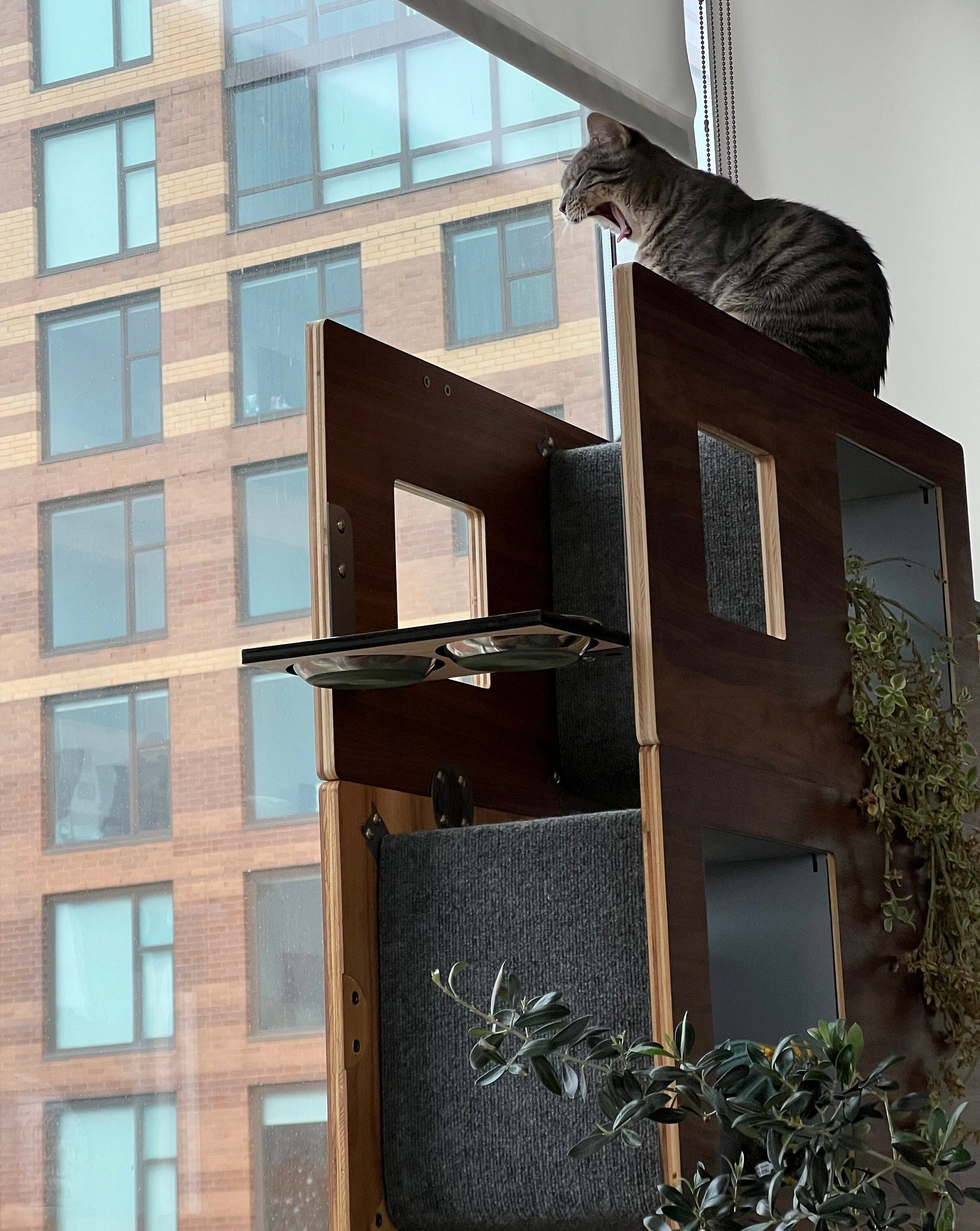 52 Tall Module Cat Case Bookcase With Hidden Cat Tree Cat Tower 3 17 