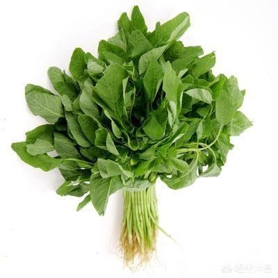 il_fullxfull.3006959044_lbd8.jpg
