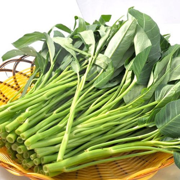 Chinese Water Spinach