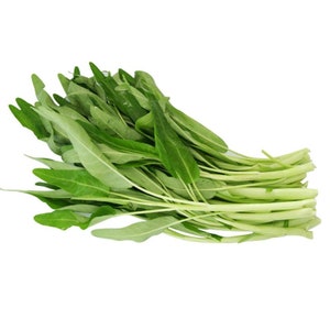 Chinese Water Spinach white stem image 3