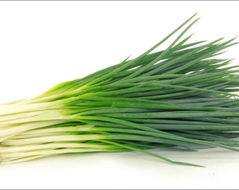 Chives 小蔥