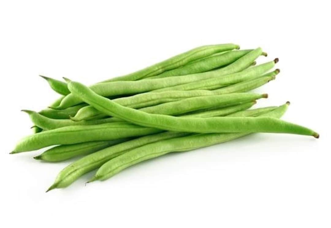 Kentucky Wonder Green Bean四季豆 Seeds 30 Seeds Etsy