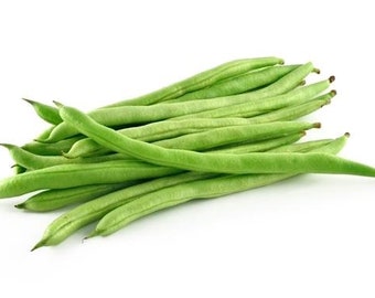 Kentucky Wonder Green Bean（四季豆） Seeds 30 seeds