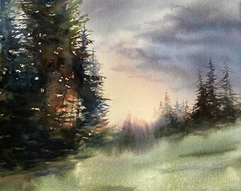 May include: A watercolor painting of a forest scene with tall evergreen trees in the foreground and a cloudy sky in the background. The sun is setting, casting a warm glow on the trees and the ground.