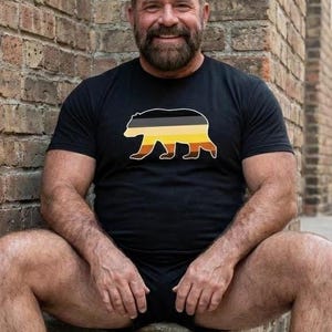 Gay Bear Pride Flag Shirt – LGBTQ+ Bear Silhouette Tee