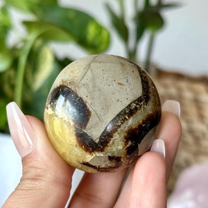 Septarian Crystal / Polished Septarian Crystal