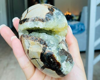 Natural Septarian Gemstone Septarian 34X56X6 MM Superb Septarian Oval Shape Cabochon Loose Stone Healing Stone Jewelry Making Septarian
