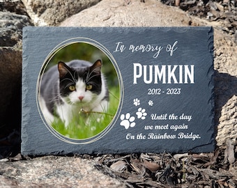 May include: A black slate memorial plaque with a photo of a black and white cat. The plaque reads "In memory of PUMKIN 2012-2023 Until the day we meet again On the Rainbow Bridge."