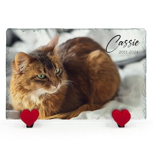 Cute Full Print Custom Made Dark Gray Large Natural Slate Pet Photo Memorial Plaque Cat Dog Gravestone in size 20x30cm Heart Paw Stand