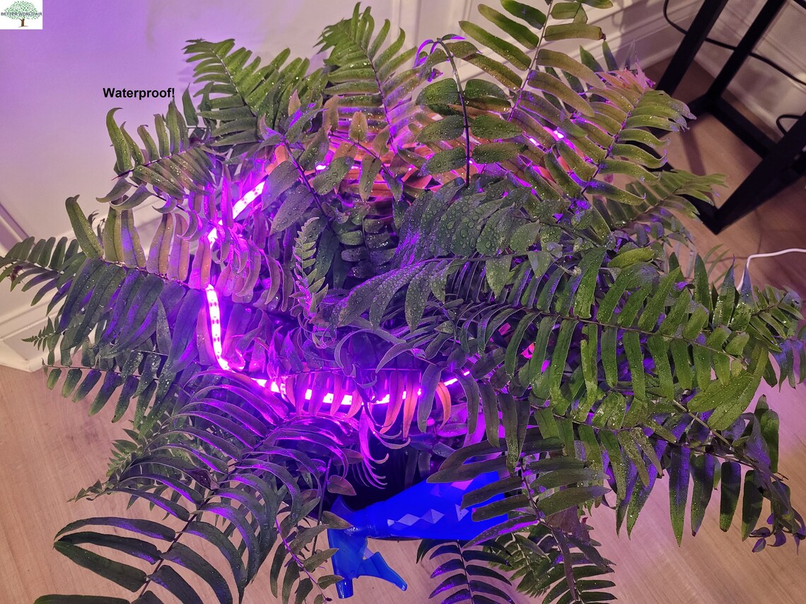 LED Plant & Terrarium Grow Lights Etsy